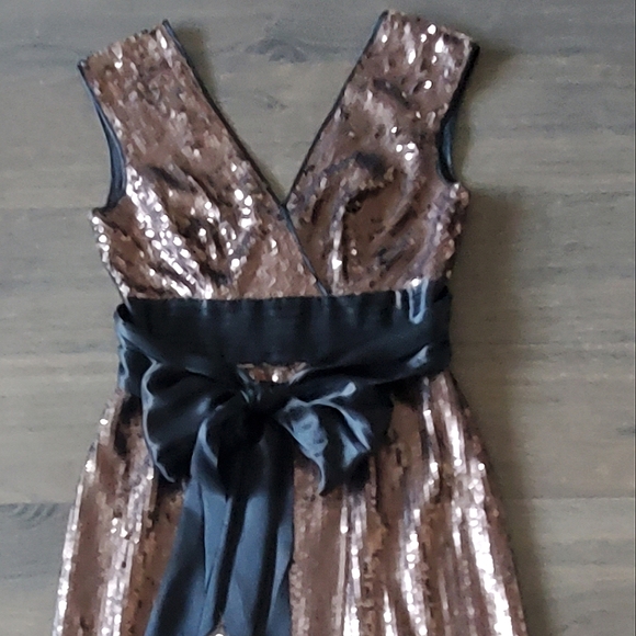 ๐ 3X HOST PICK ๐ BCBG MaxAzria Sequins Cocktail Dress - Picture 14 of 15